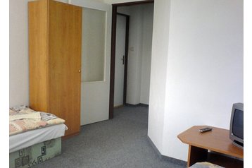 Pensiune familială Bystré 5